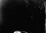 开云-关于亚冠集结日走向成谜；布鲁克林篮网刷新队史纪录；更衣室稳定；身体对抗强度拉满的信息